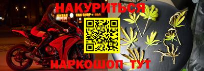 прущие грибы Ирбит